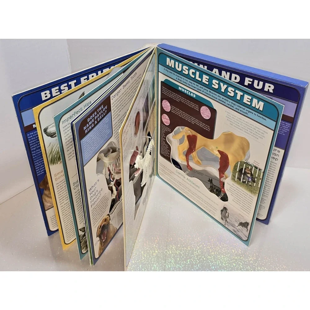 Uncover a Dog 3D Anatomy Book by Paul Beck EUC Educational‎ 🐶📘